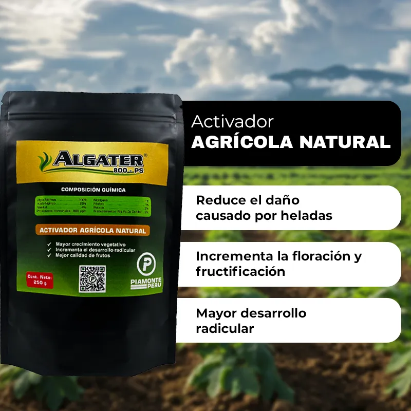 ALGATER MOVIL__2