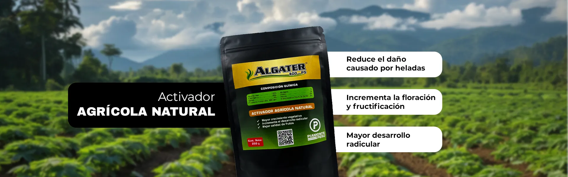 ALGATER WEB_