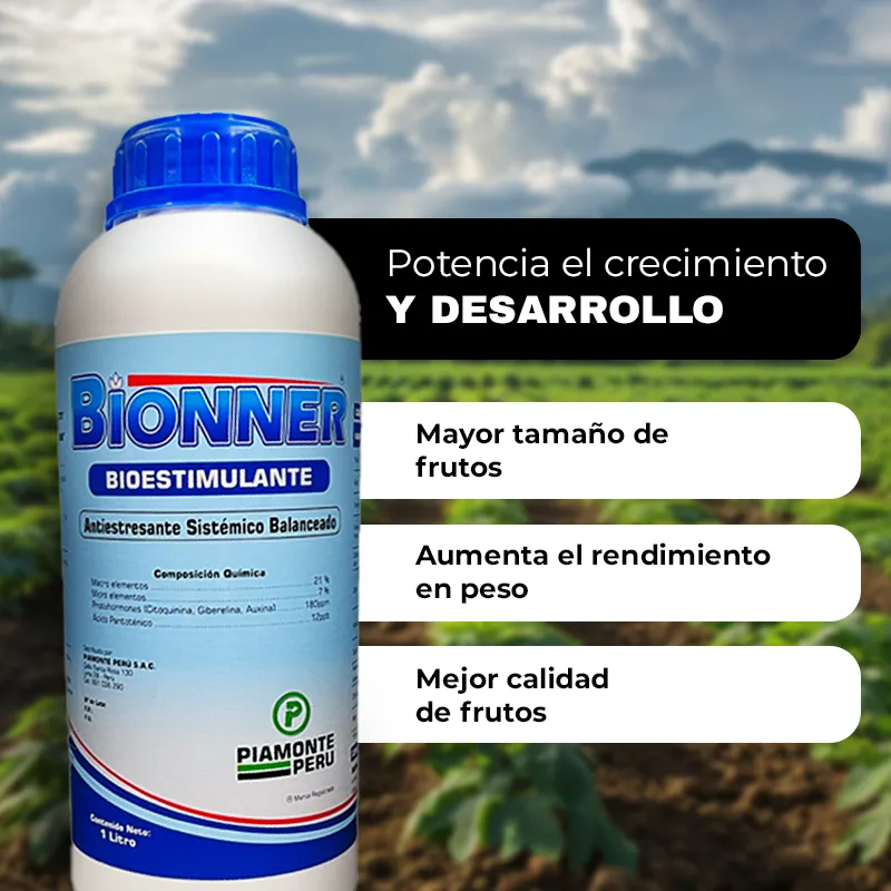 BIONNER MOVIL_