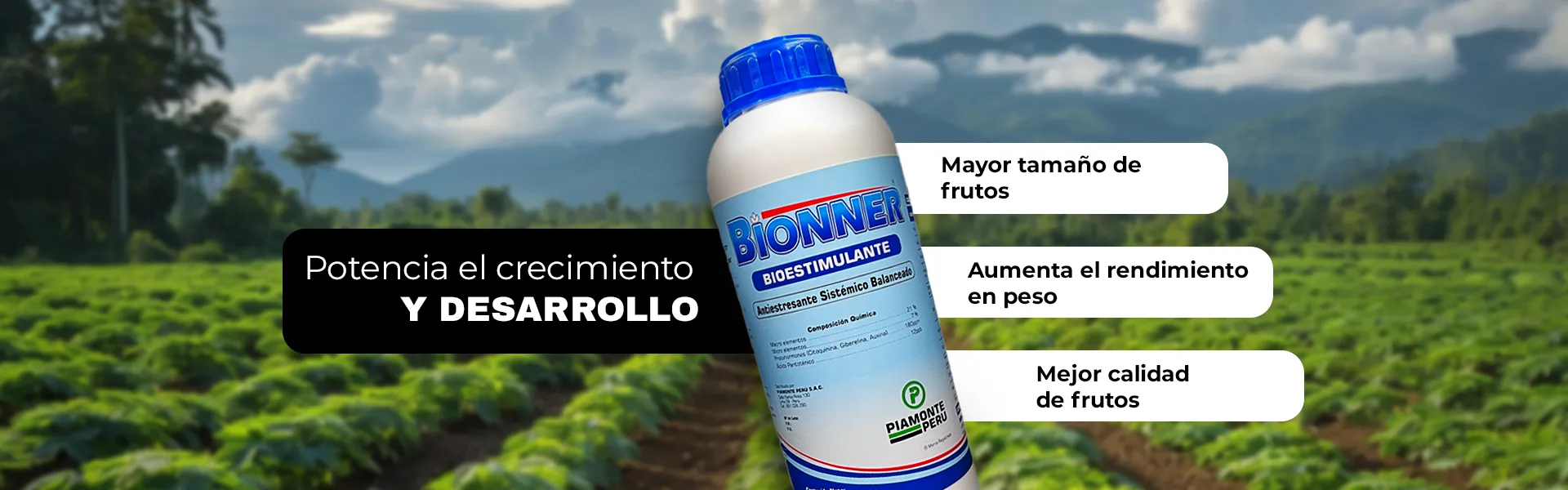 BIONNER WEB