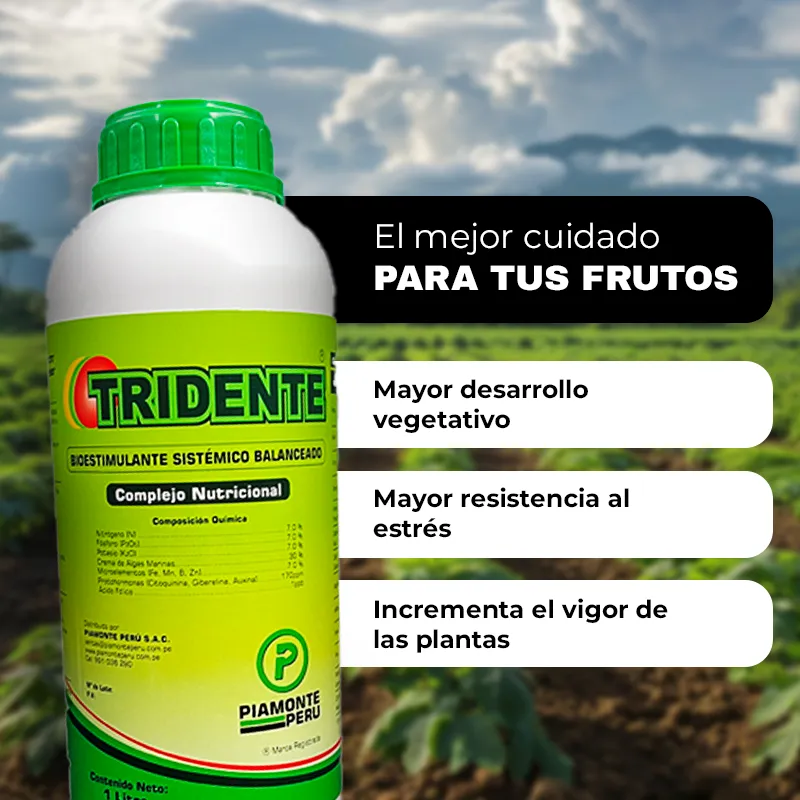 TRIDENTE MOVIL_